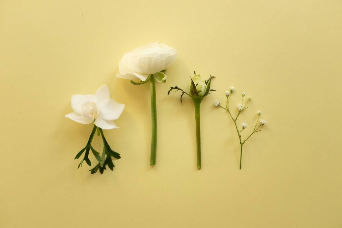 How to Decode Clean Beauty Products Rating (Without Getting Scammed)