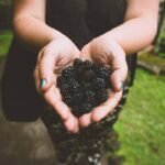 The Blackberry Clean Beauty: 7 Proven Ways to Avoid Costly Skincare Mistakes