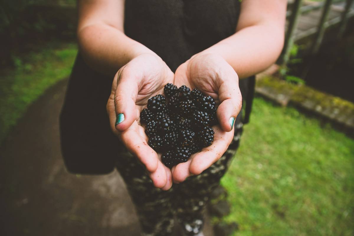 The Blackberry Clean Beauty: 7 Proven Ways to Avoid Costly Skincare Mistakes